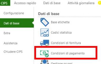 Cips condizioni di pagamento 1.JPG